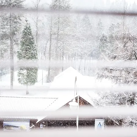 Opal Apartman Krynica Zdrój